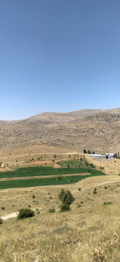 KAYSERİ DEVELİ ÇADIRYERİ MAHALLESİNDE HAZZIR KURULU SATILIK AHIR